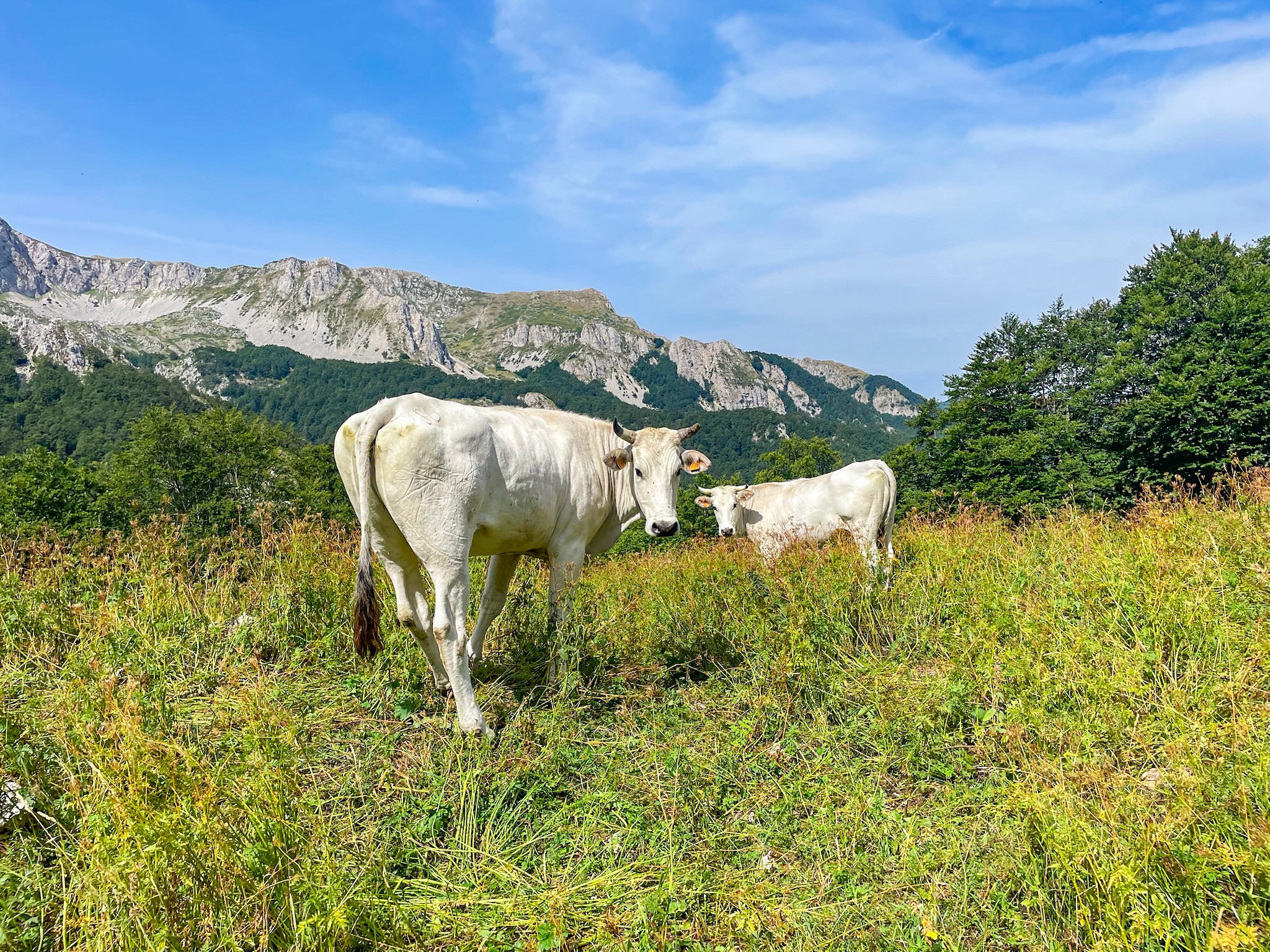 Vivez Les Abruzzes-photo